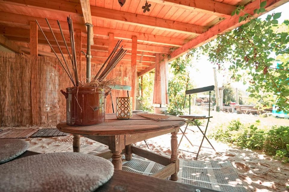 Patio, Spring, Day, Garden, View (from property/room), Balcony/Terrace, Garden view