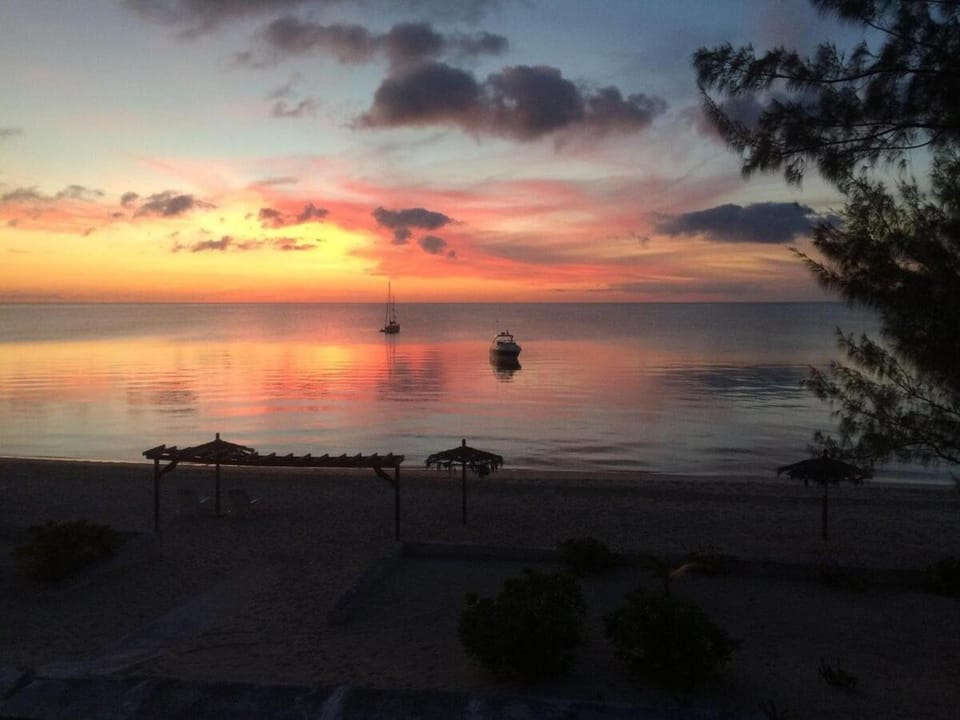 Cocodimama small - Boutique Resort on Spectacular Beach Hotel Room Hotel in North Eleuthera