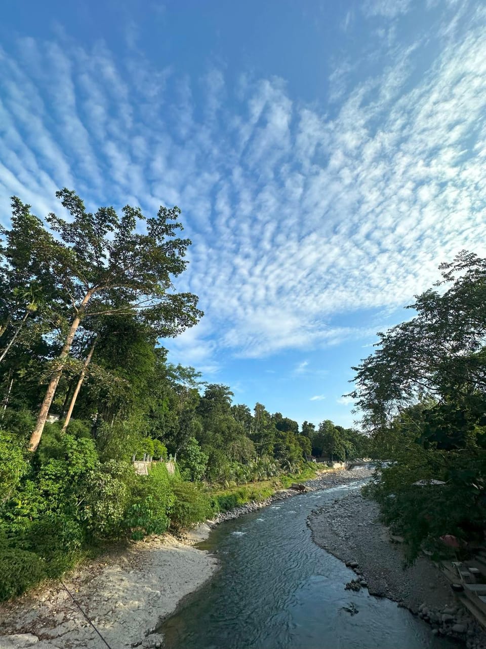 River view