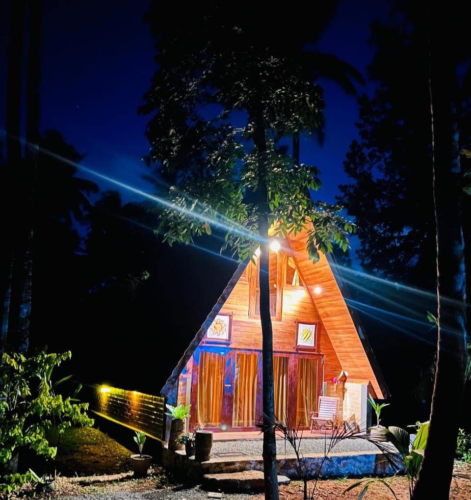 Property building, Night, Natural landscape, Garden, Garden view
