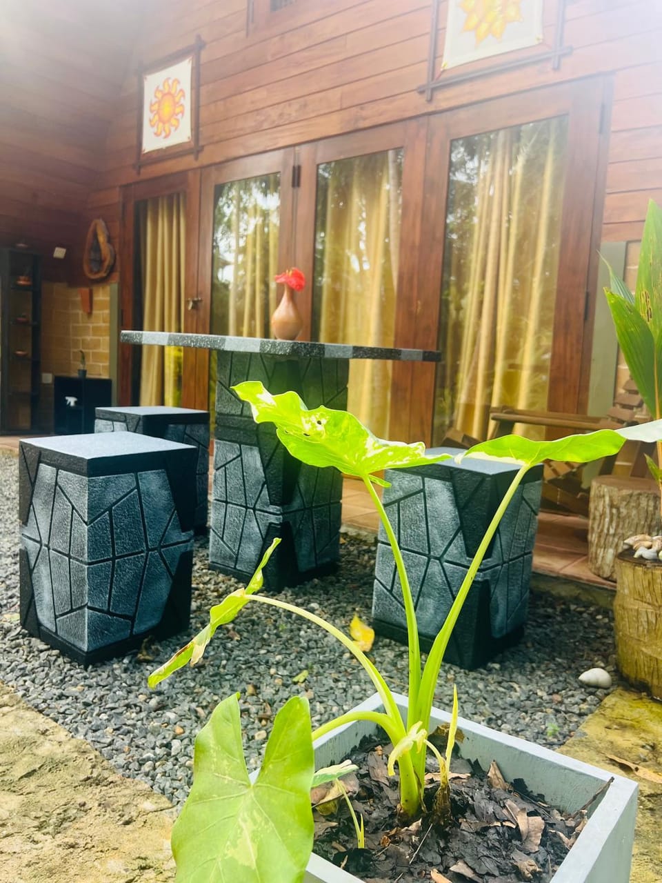 Day, Garden, Garden view