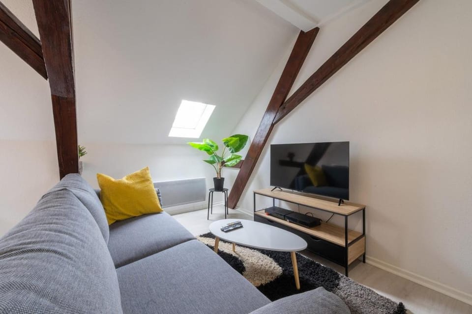 Très bel appartement proche centre Stationnement rue Gratuit Apartment in Mulhouse
