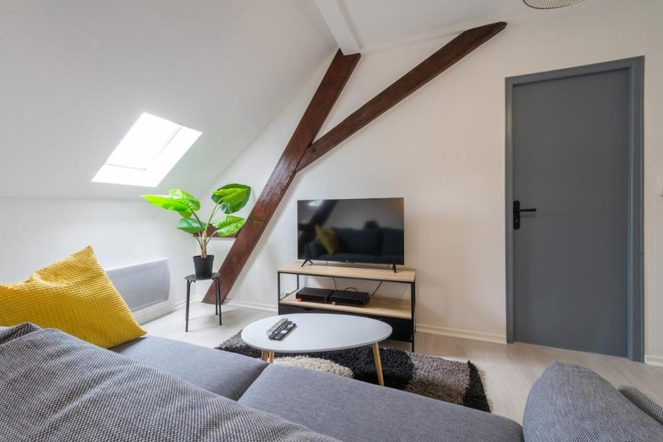 Très bel appartement proche centre Stationnement rue Gratuit Apartment in Mulhouse