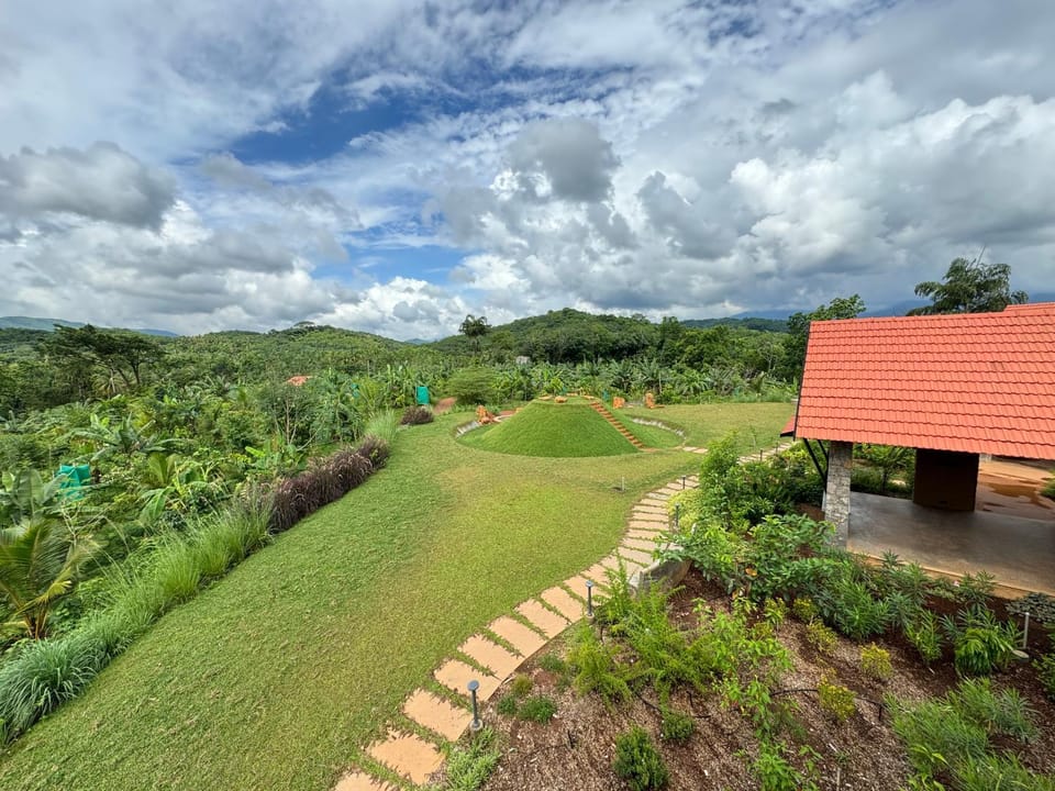 Day, Natural landscape, Garden
