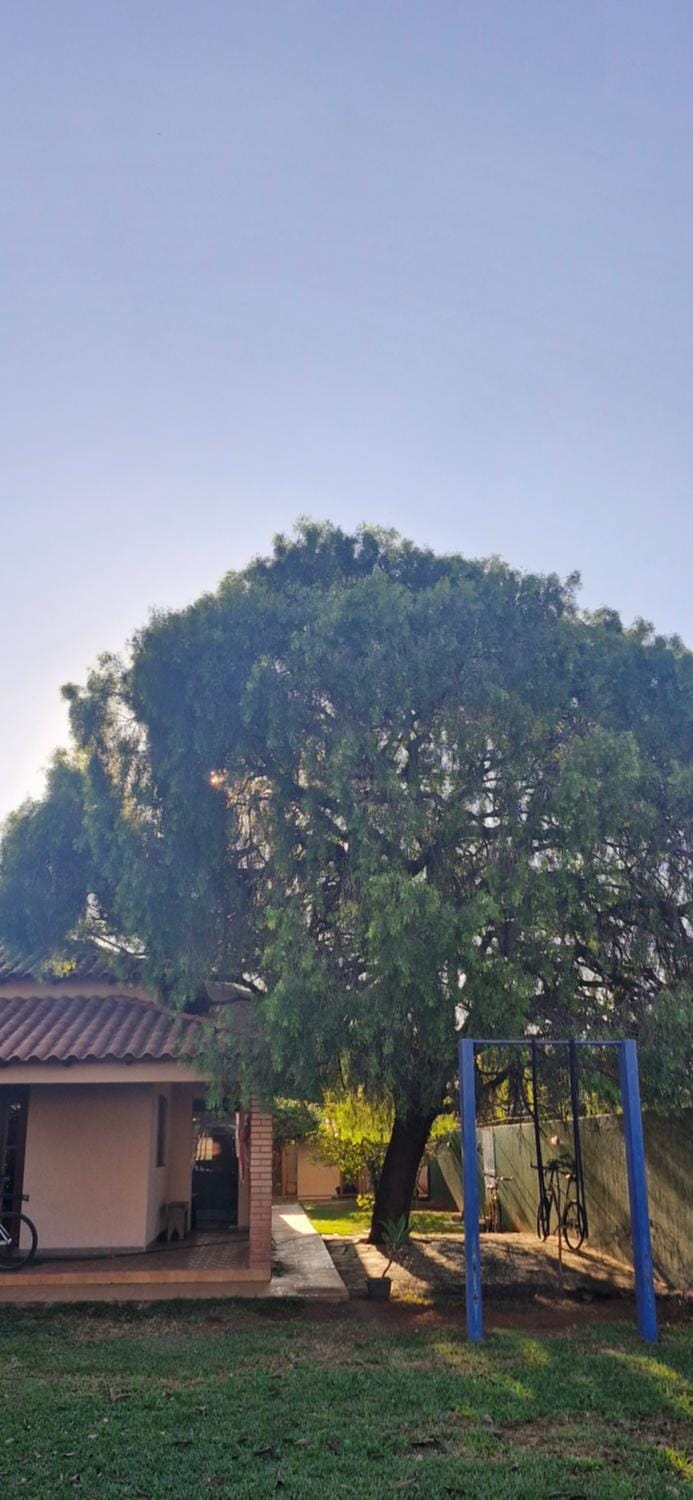 Natural landscape