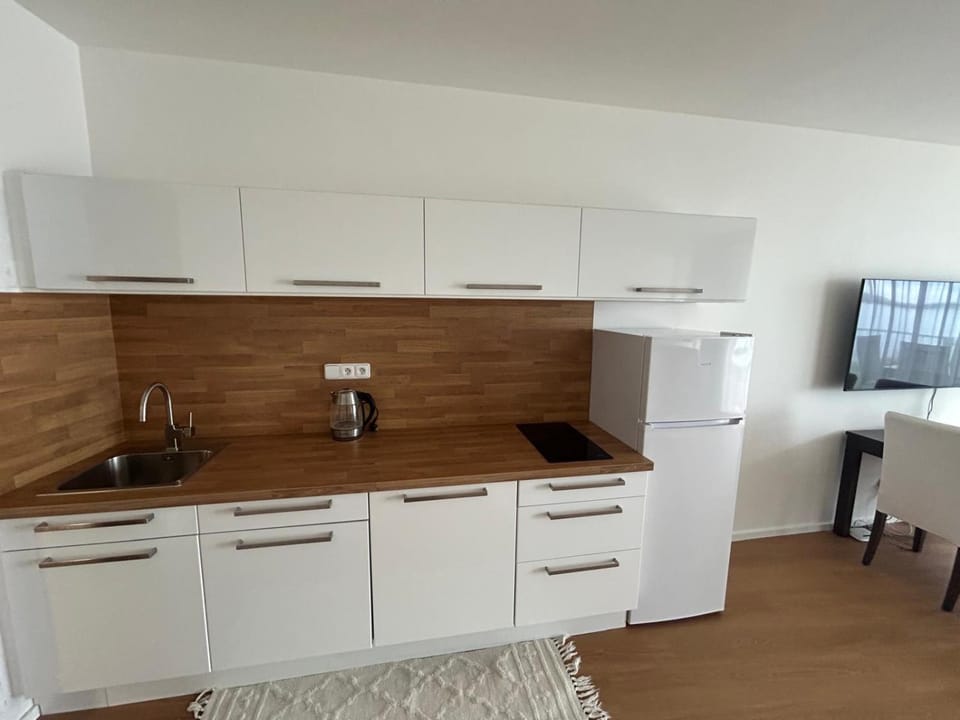 Kitchen or kitchenette, dishwasher, stove