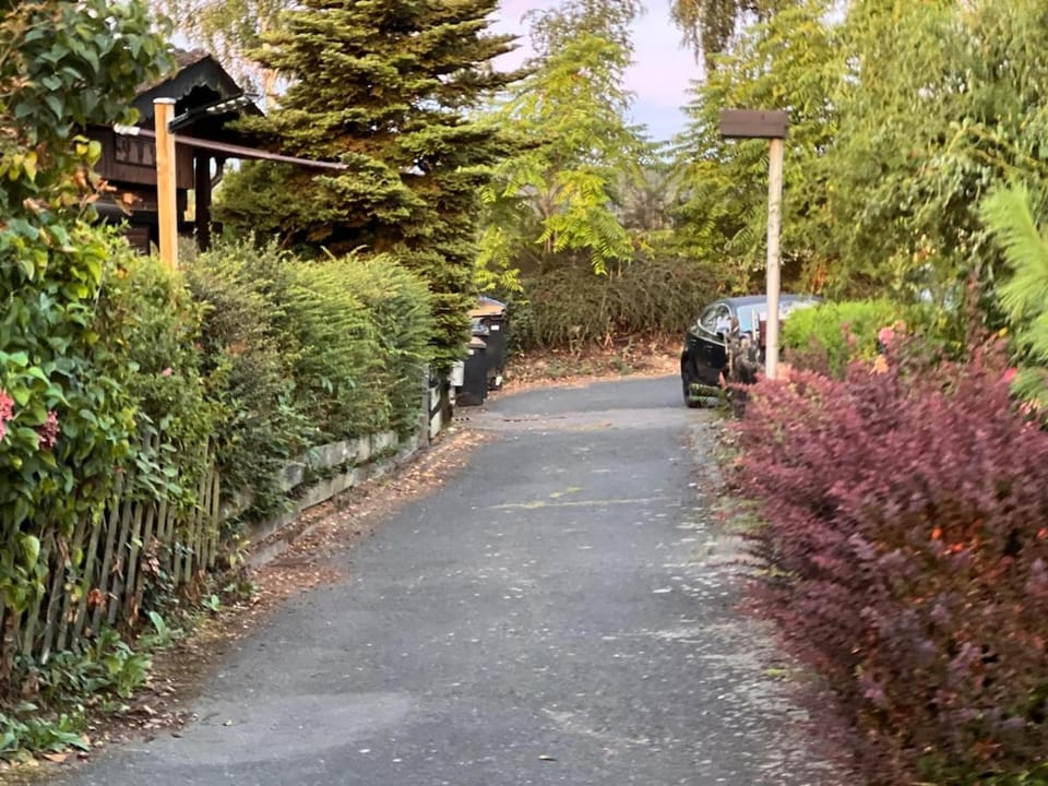 Street view, Parking