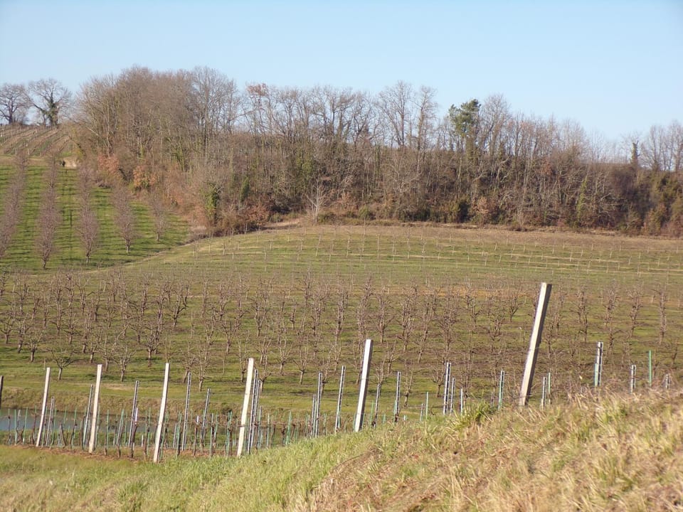 Natural landscape