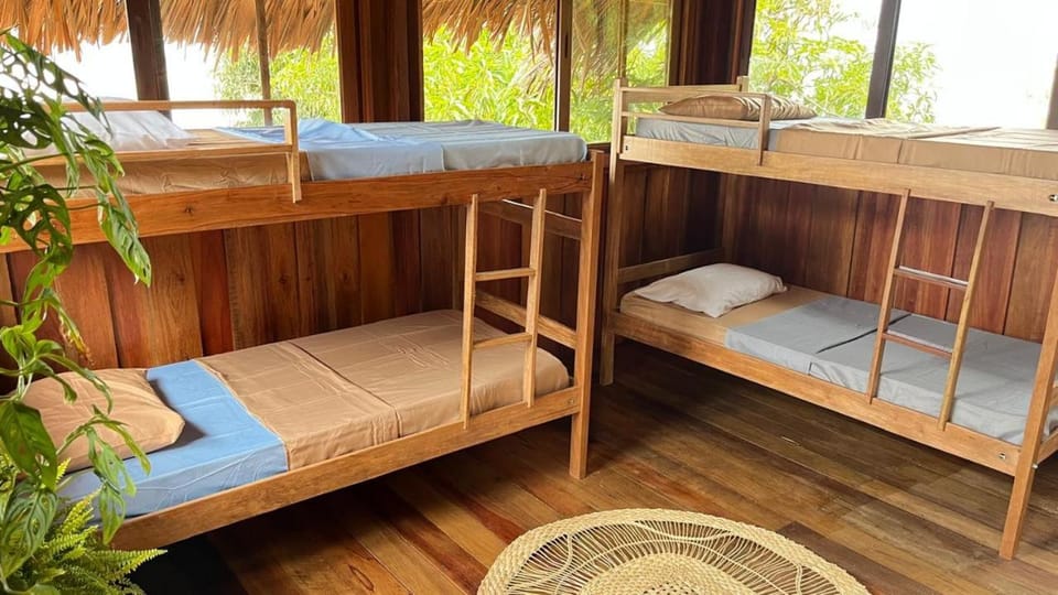 bunk bed