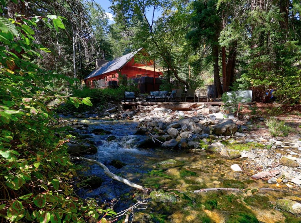 Natural landscape, River view