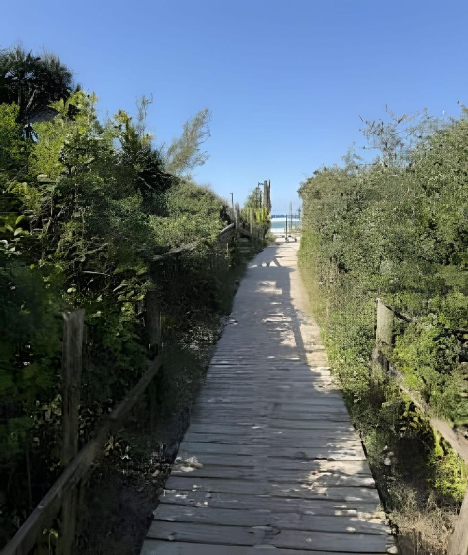 Sea view