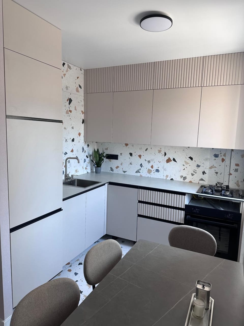 Geese apt Apartment in Ukraine