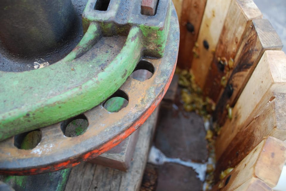 Other, Autumn, Entertainment