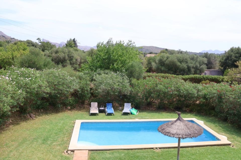 Garden, Swimming pool