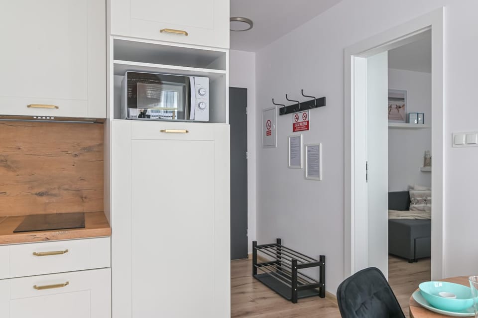 Modrzew nad Morzem Apartment in Pomeranian Voivodeship