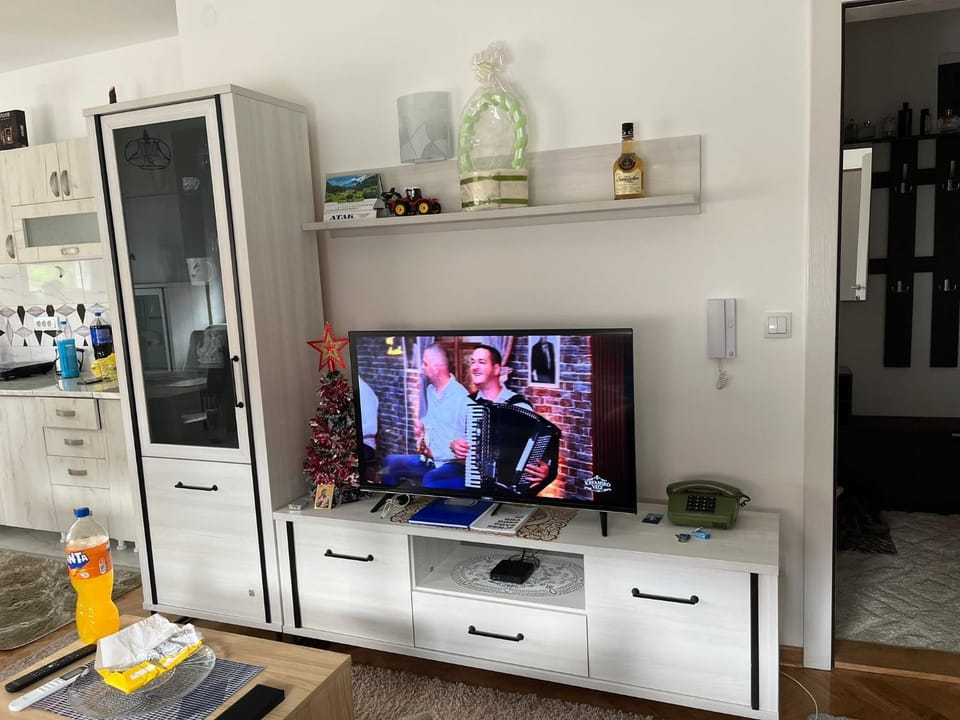 Studio Apartman Apartment in Serbia