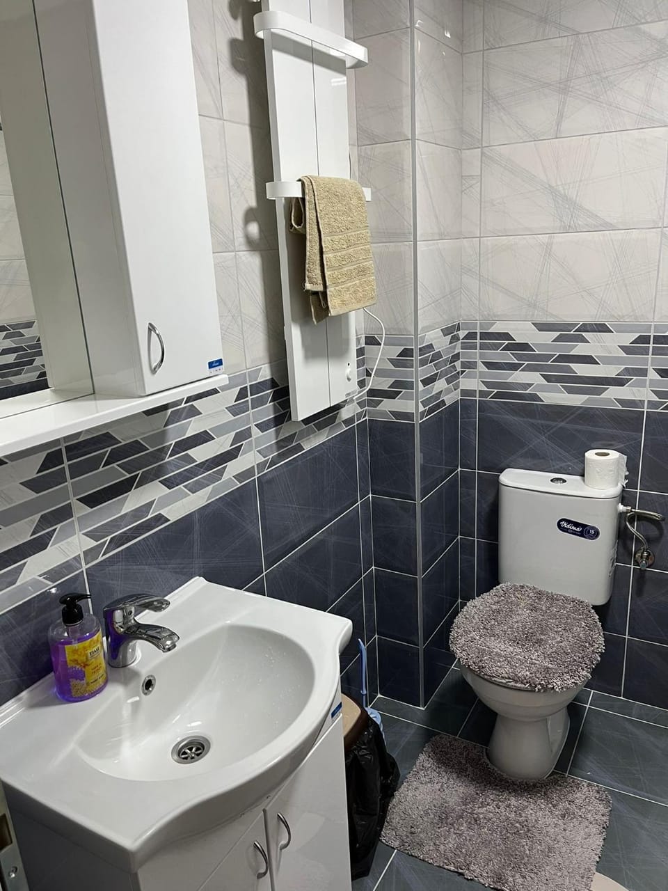 Studio Apartman Apartment in Serbia