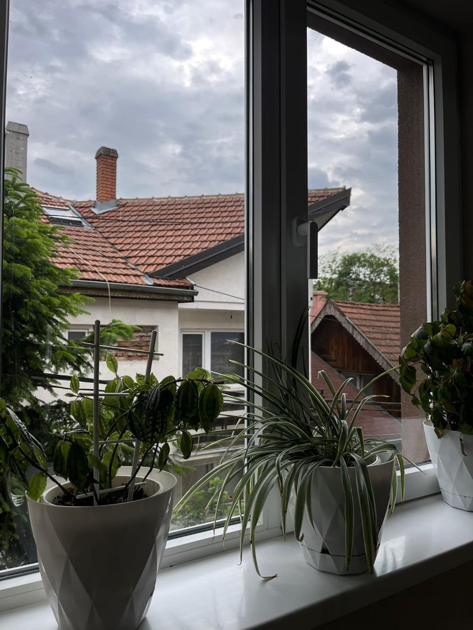 Studio Apartman Apartment in Serbia