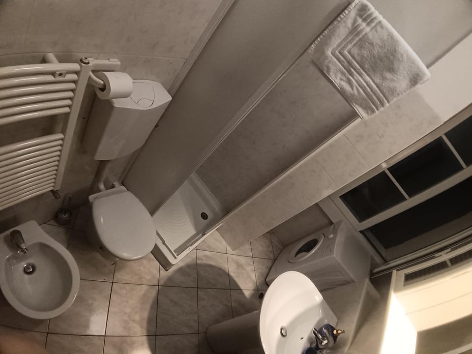 Shower, Toilet, Bathroom, bidet