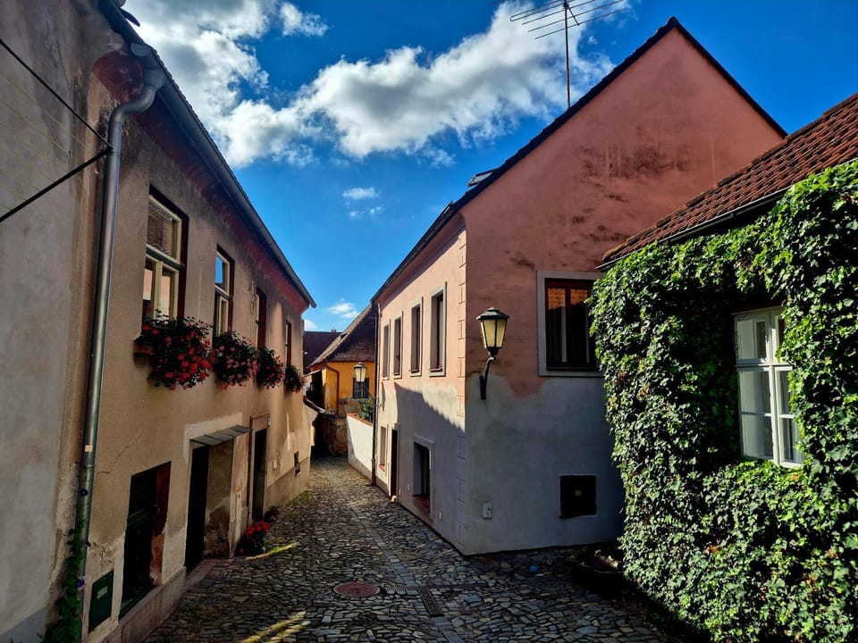 Property building, Neighbourhood, Street view
