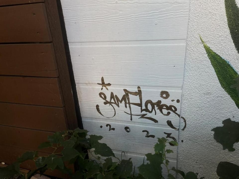 Serene Silver Lake 1 bedroom 1 bathroom Back house With Private Backyard Apartment in San Fernando Valley