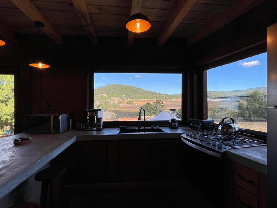 Kitchen or kitchenette, Garden view, Lake view
