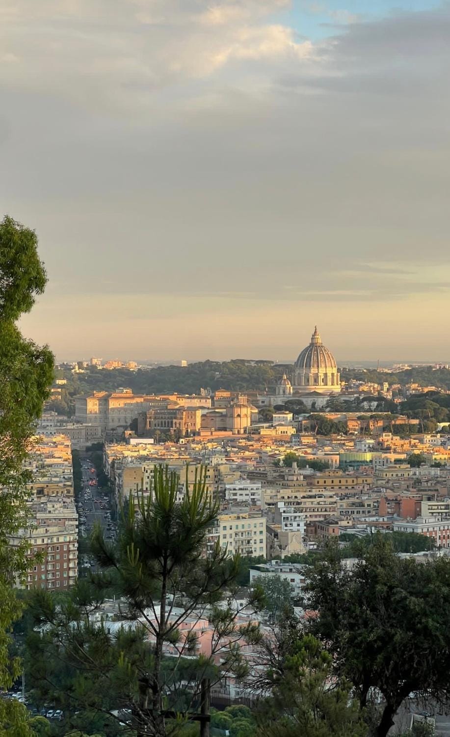 Nearby landmark, Natural landscape, Bird's eye view, City view