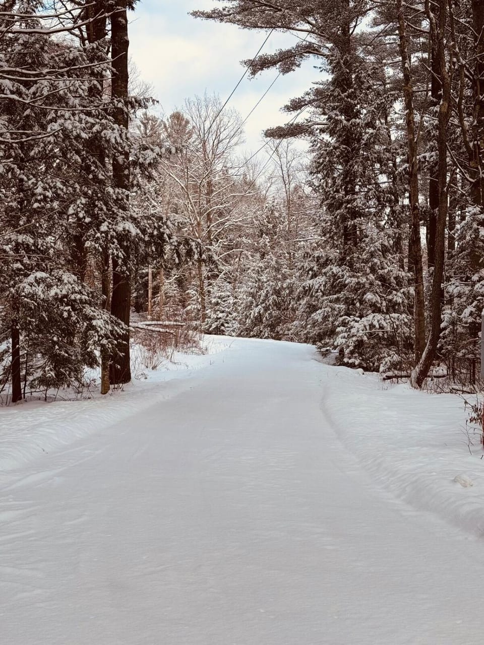 Day, Natural landscape, Winter