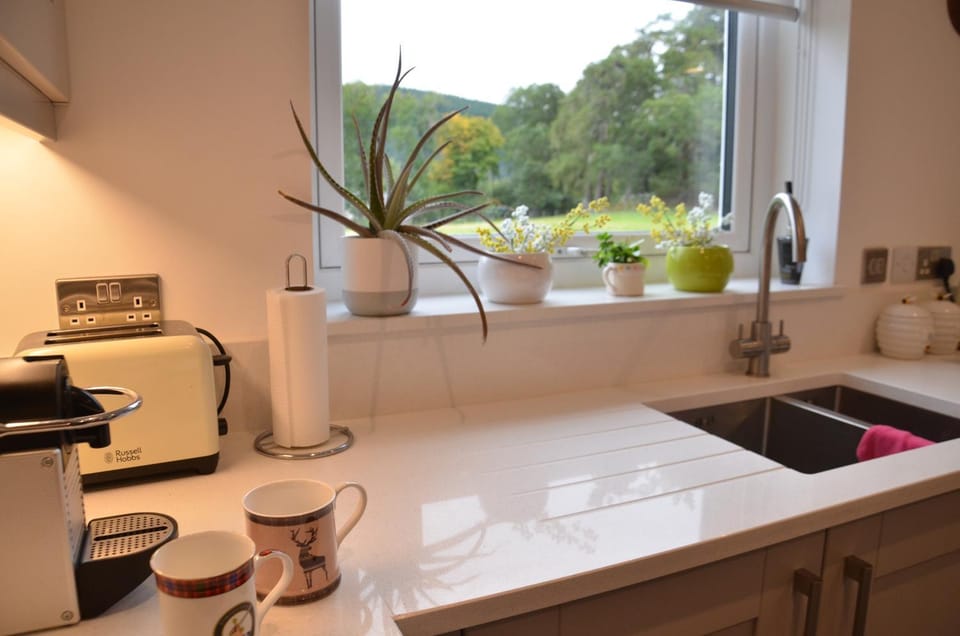 Coffee/tea facilities, Kitchen or kitchenette