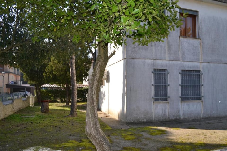 Property building, Summer