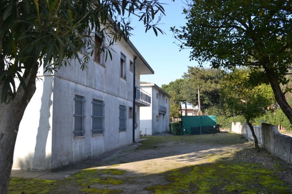 Property building, Summer