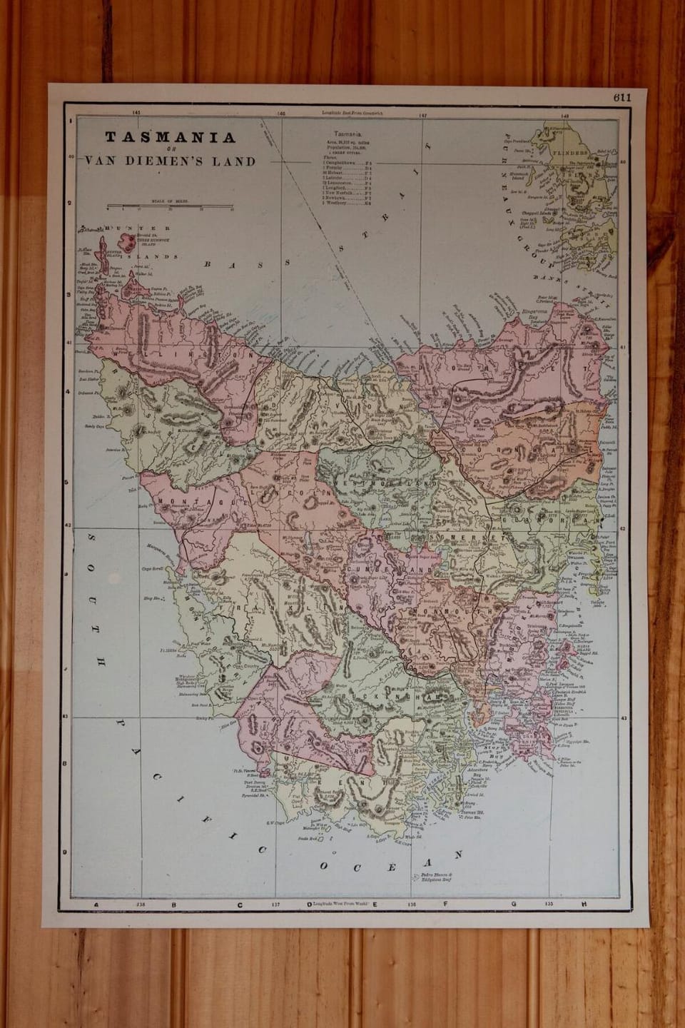 Panorama Cabin - B Cabin in Bicheno