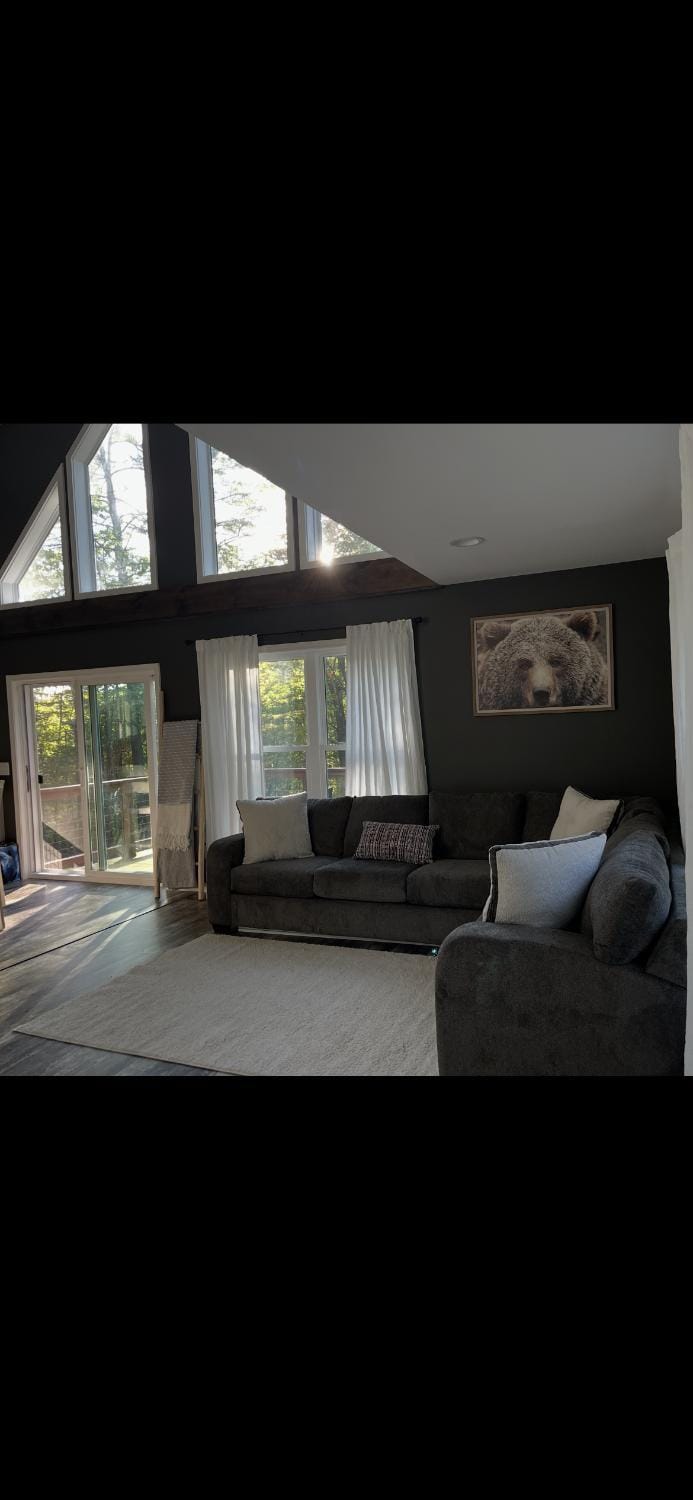 Moosehaven Chalet in Campton