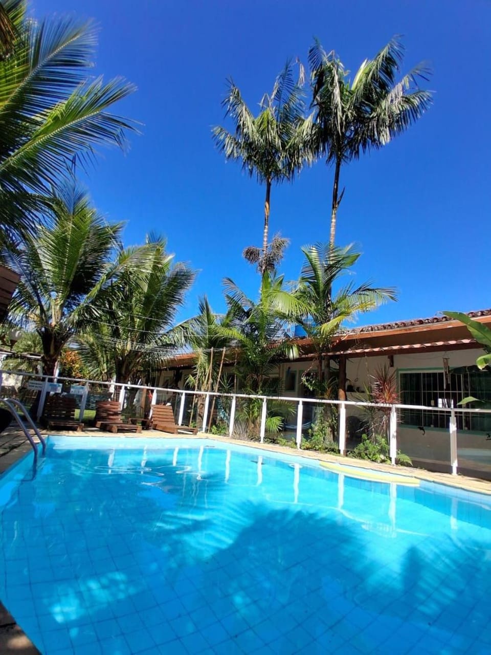 Day, Garden, Garden view, Pool view, Swimming pool