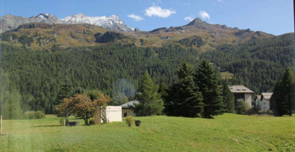 Mountain view