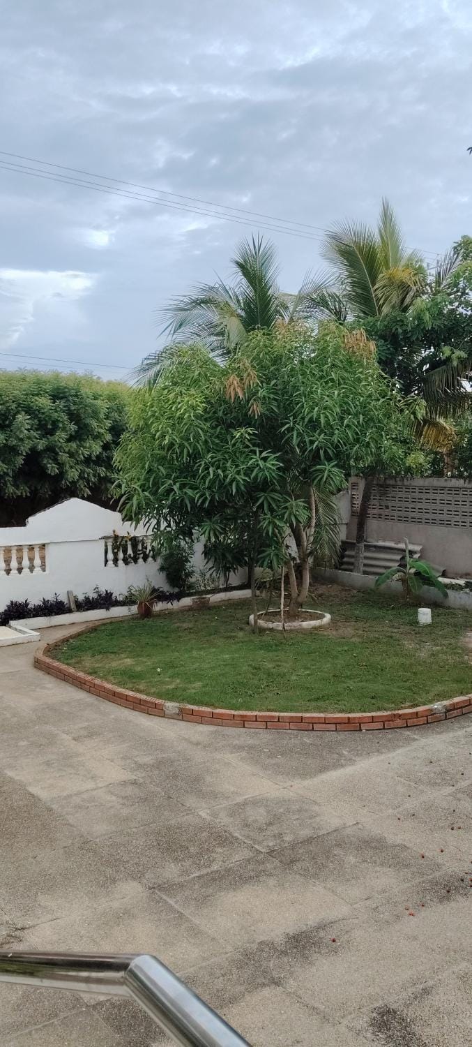 Garden, Garden view