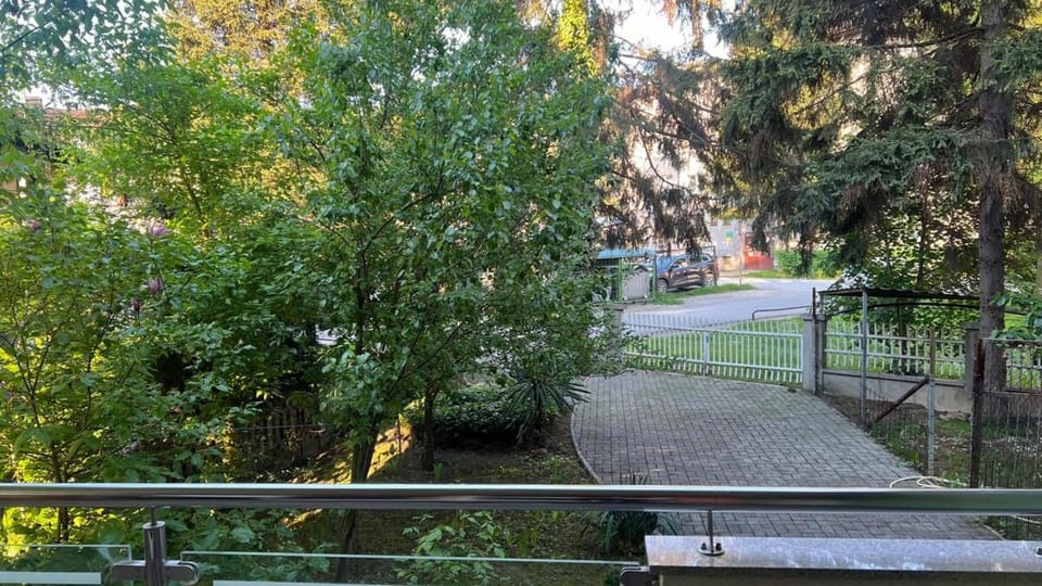 Natural landscape, Garden view