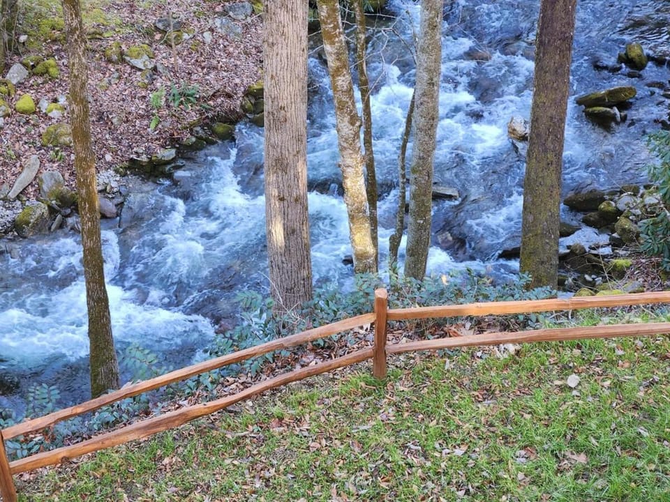 Natural landscape, River view