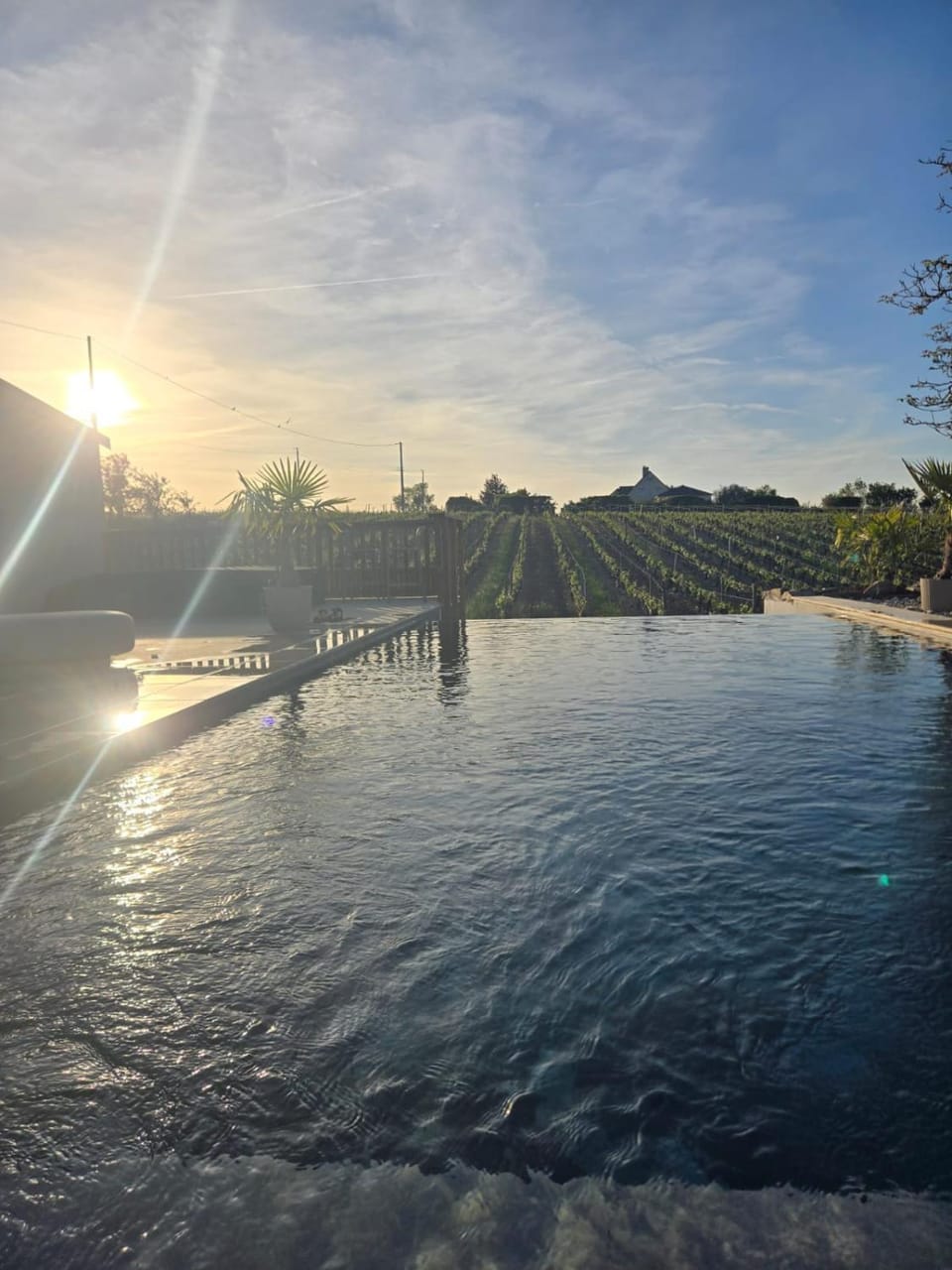 Pool view, Swimming pool, Sunset