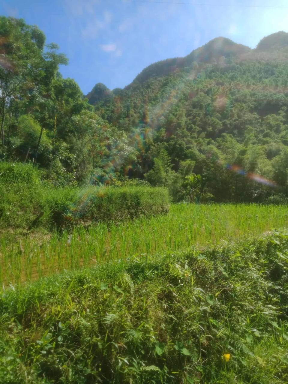 homestay chill Pu luông Apartment in Vietnam