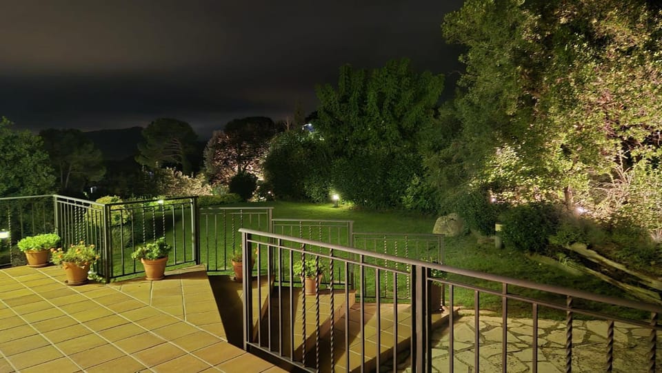Night, Garden, Garden view