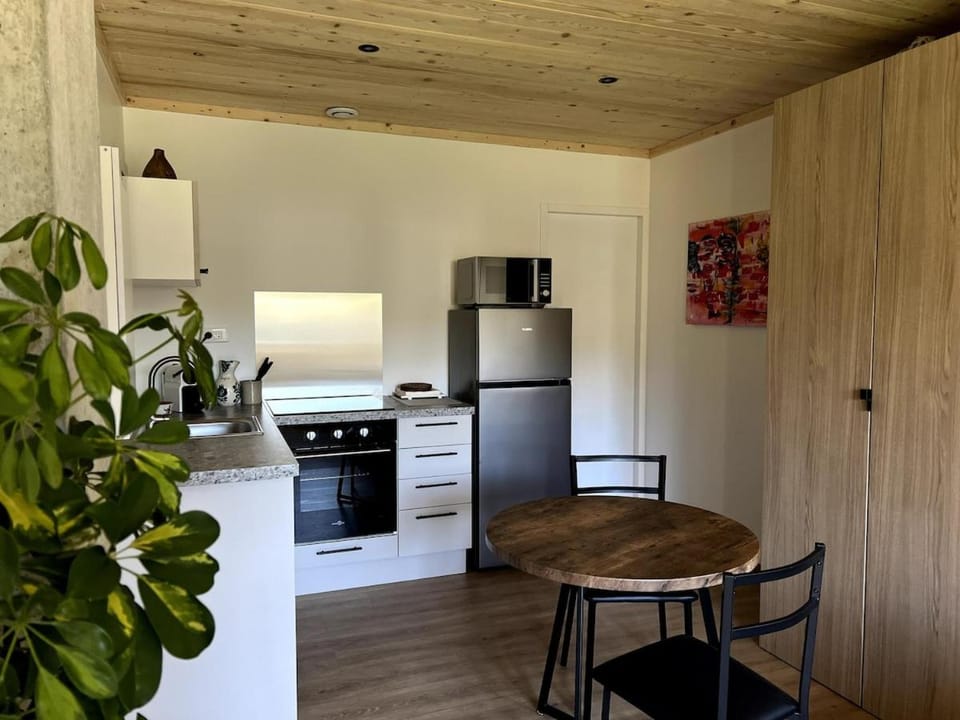 Studio des bains Apartment in Aix-les-Bains