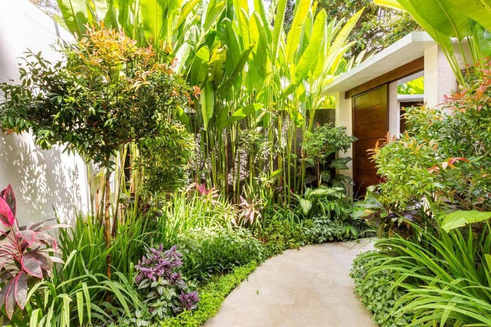 Facade/entrance, Garden