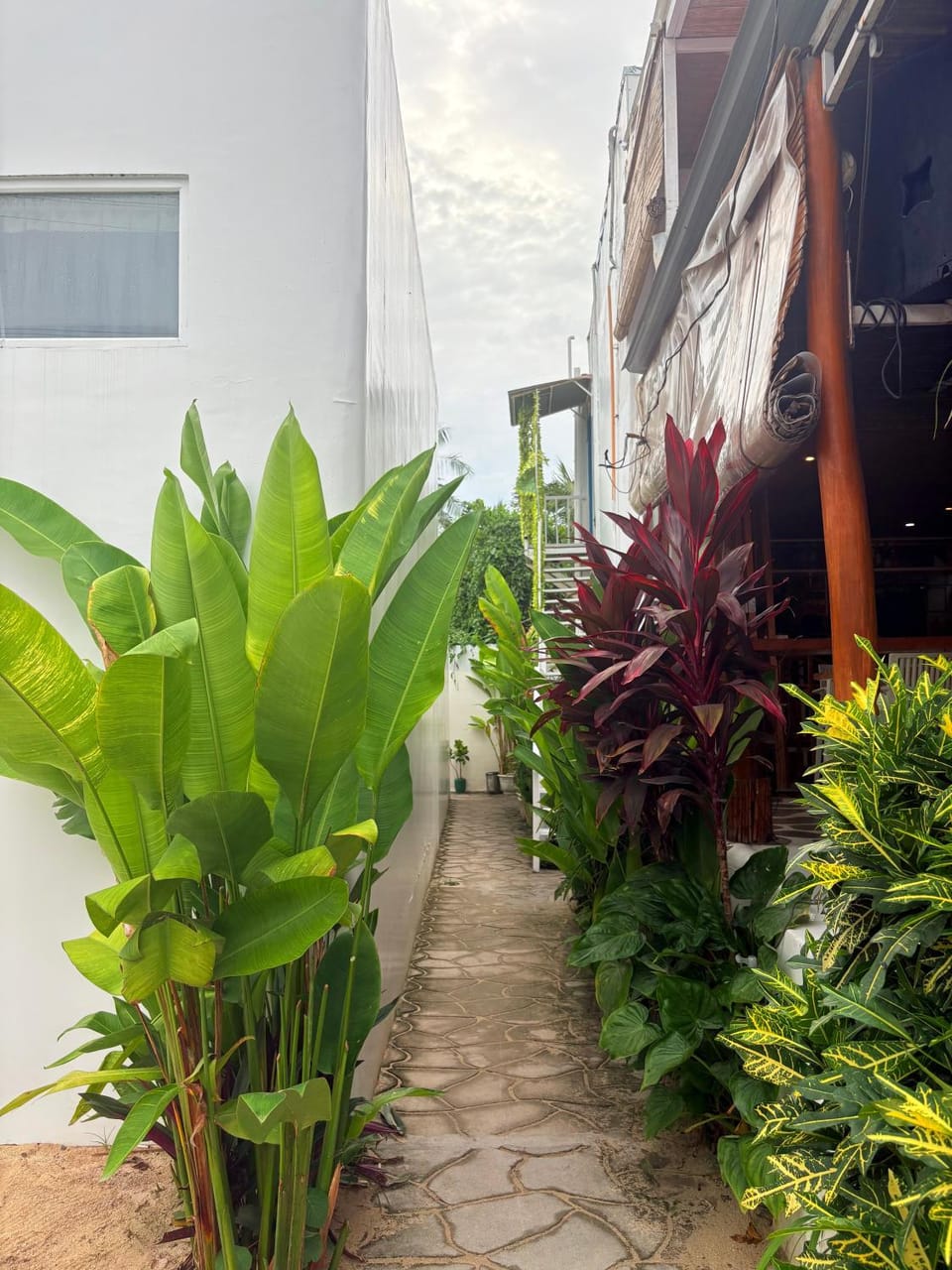 Garden view