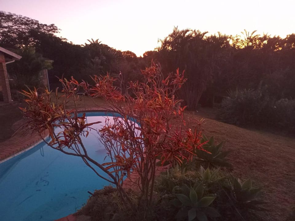 Garden view, Swimming pool, Sunrise