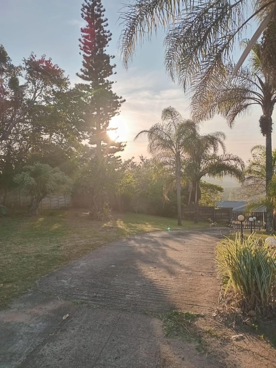 Natural landscape, Garden view, Sunset