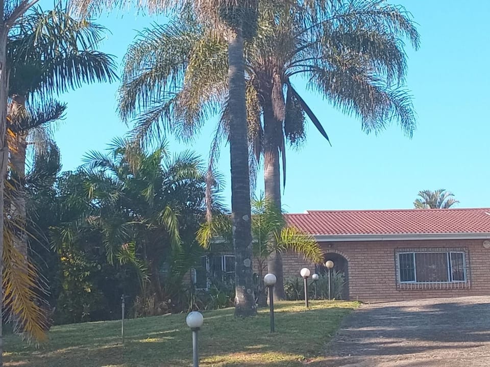 Property building, Day, Garden view