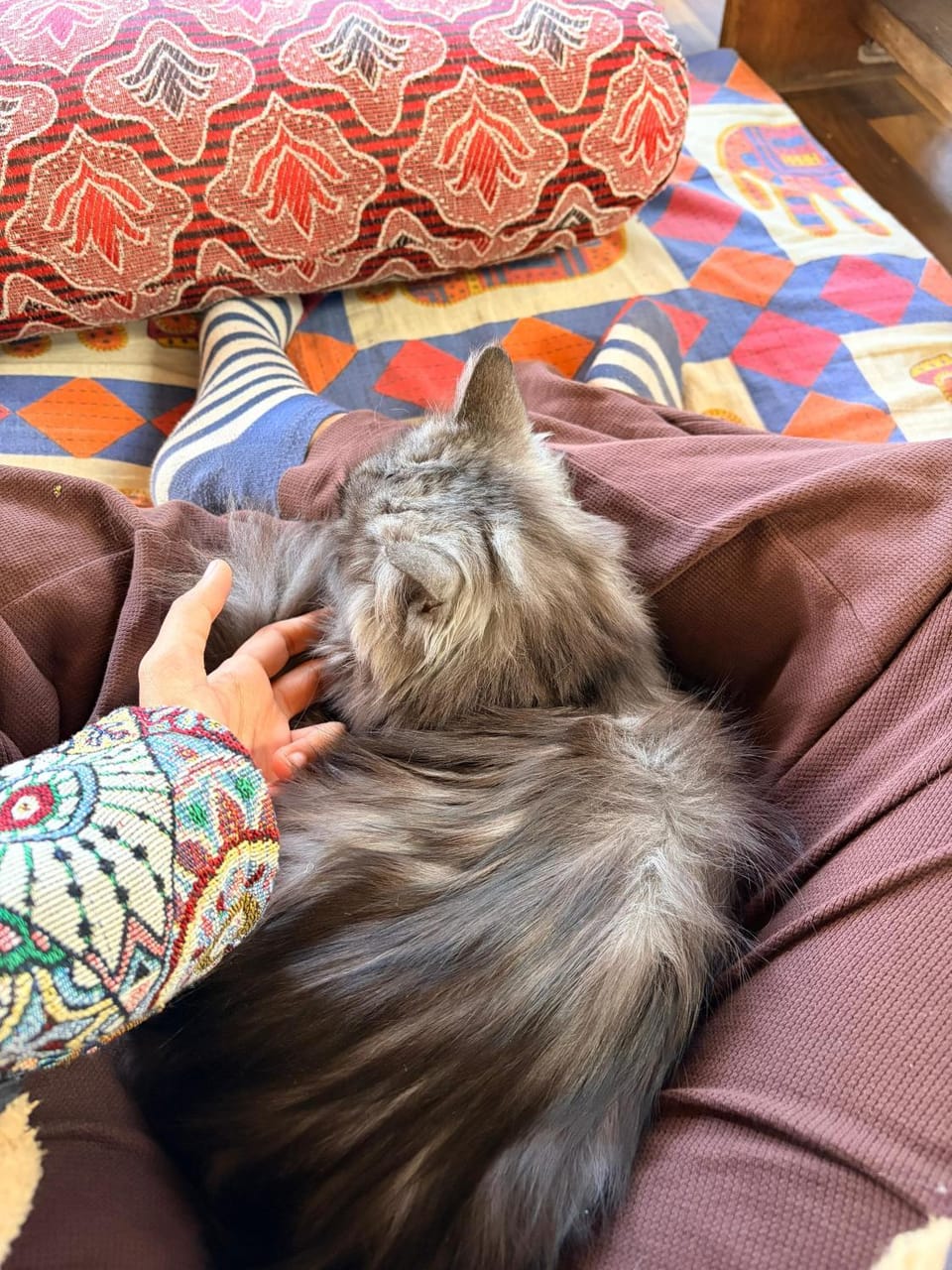 Flamingos Hostel Jaipur Hostel in Jaipur