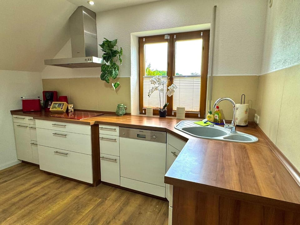 Kitchen or kitchenette, dishwasher, stove