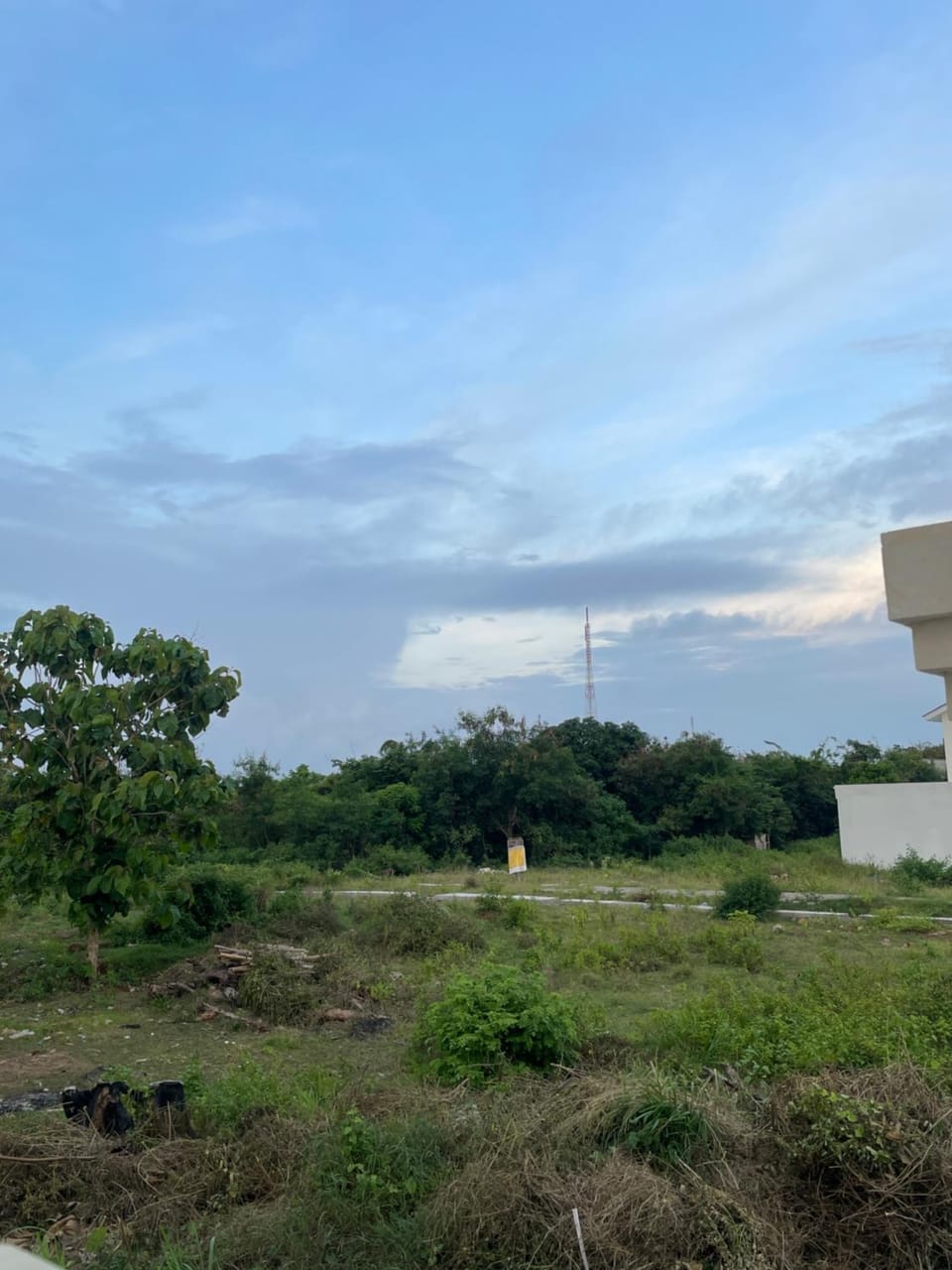 View (from property/room)